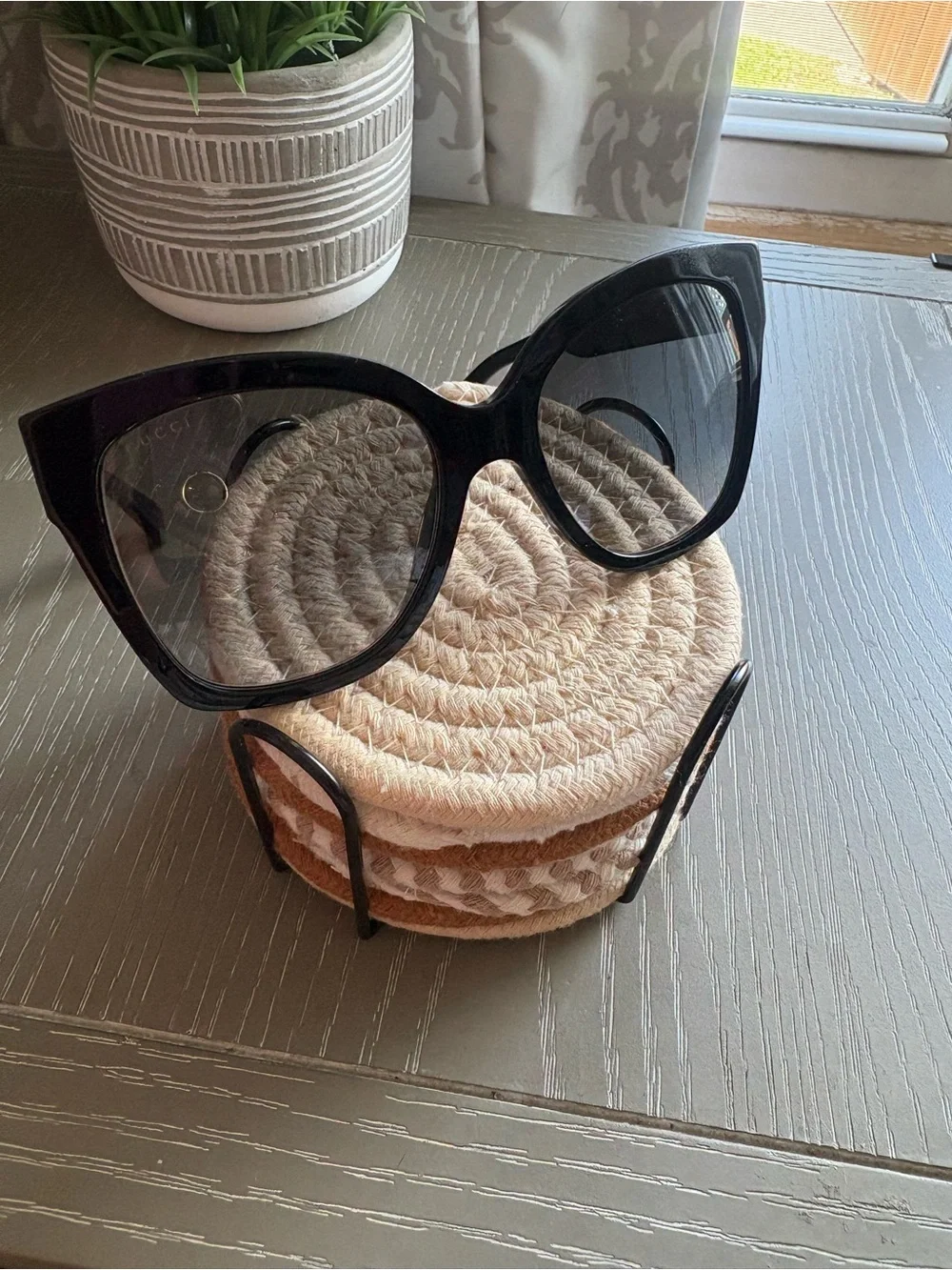 Gucci stylish cat